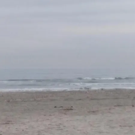 Daire Rimimi Navodari